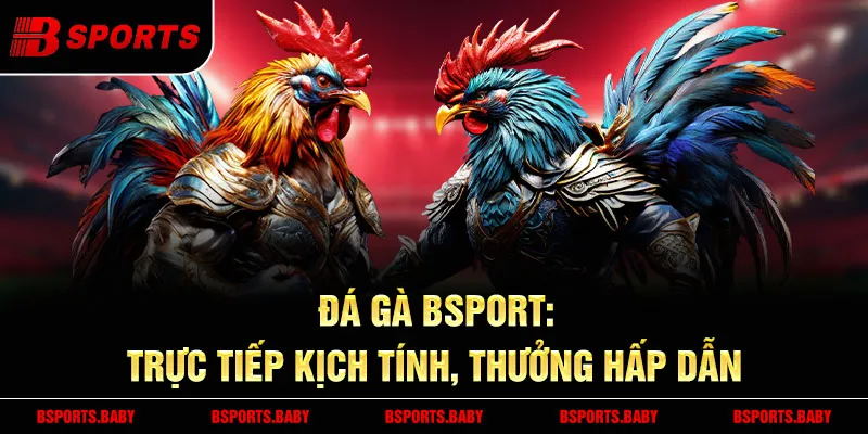 Đá gà Bsport - Kèo cược đa dạng, thưởng cao mỗi trận