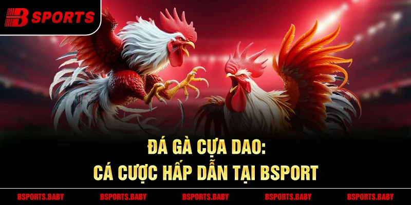 Đá gà cựa dao Bsport trận đấu kịch tính năm 2025