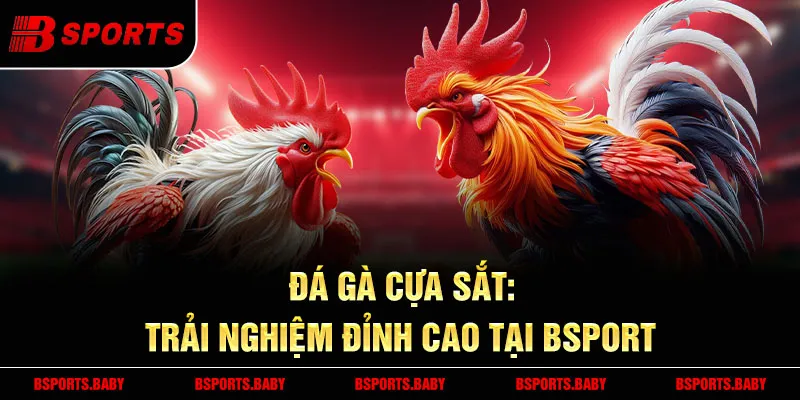 Gà cựa sắt Bsport trận đấu mãn nhãn năm 2025