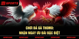 Đá gà Thomo Bsport luật đấu 15 phút mỗi hiệp