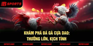 Đá gà cựa dao Bsport đa dạng kèo cược tại sân đấu