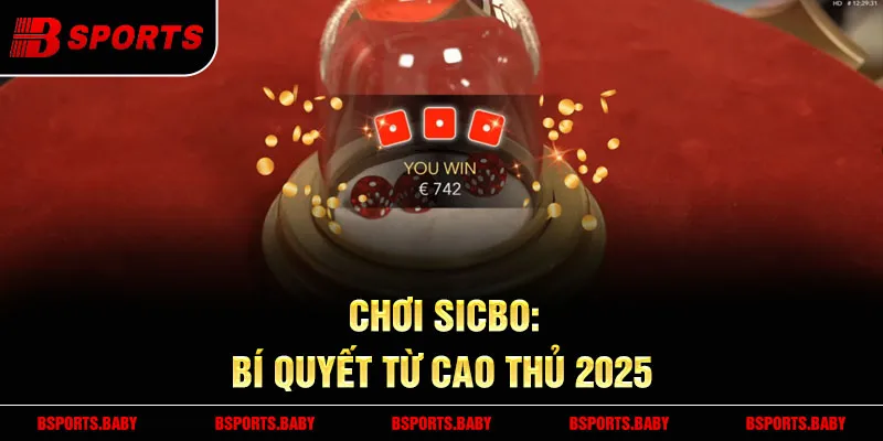 Sicbo Bsport cược số cụ thể thưởng 3:1 hấp dẫn